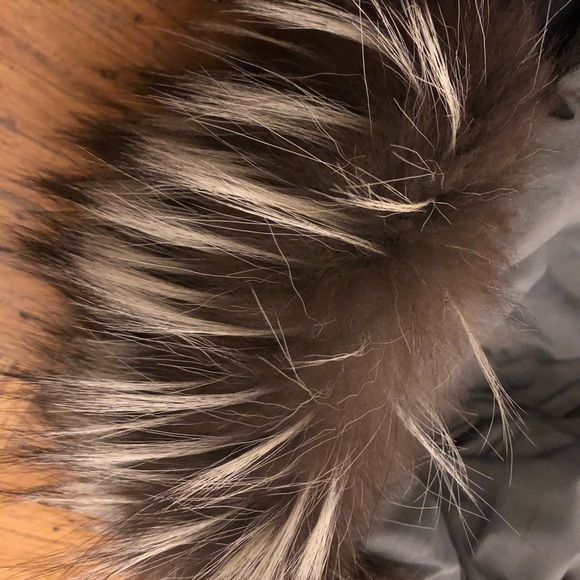 Canada Goose X ALIFE - Expedition - Picture 11 of 15